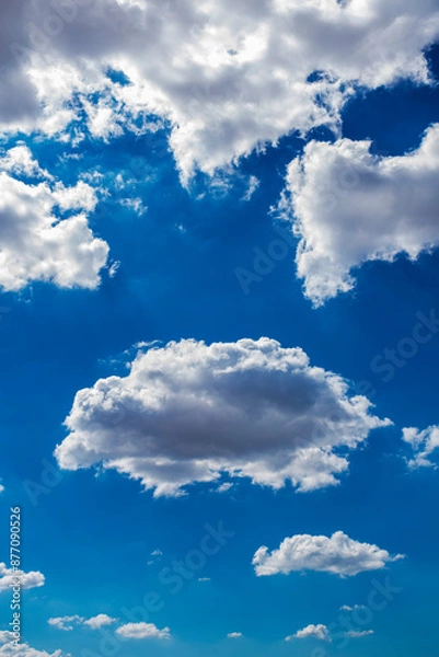 Fototapeta Beautiful blue sky with clouds. Space for advertising. Vertical.