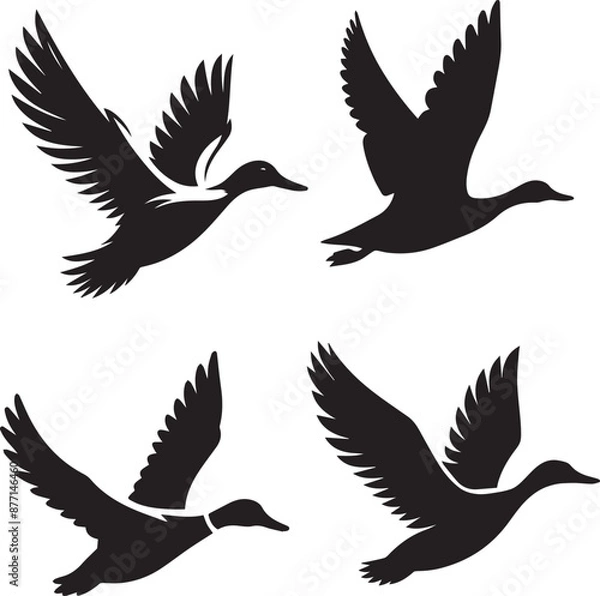 Obraz duck silhouette, duck icon, duck vector, 