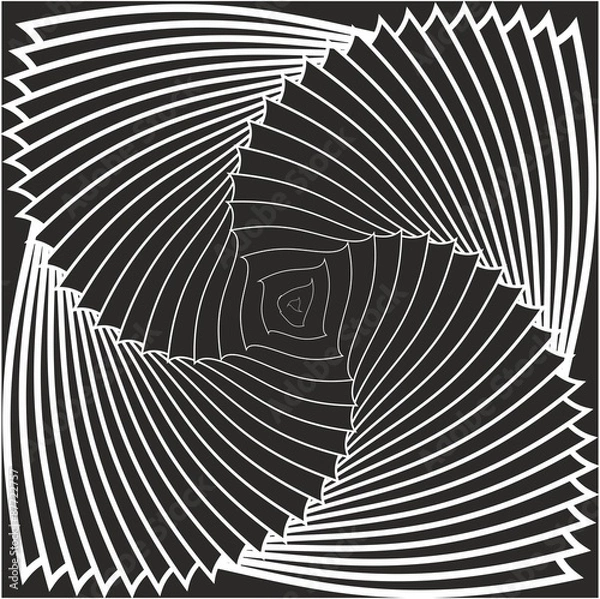 Obraz Genuine spinning monochrome rosette 2