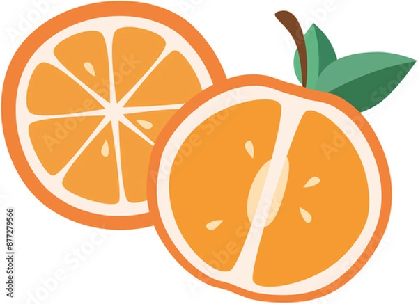 Fototapeta Two half oranges transparent vector