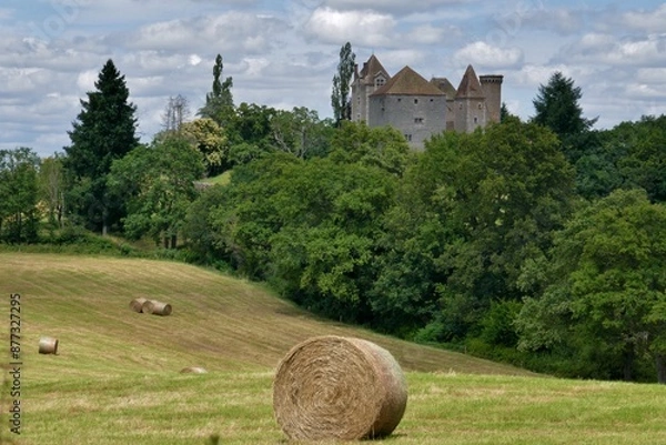 Obraz Paysage dans le Charolais.