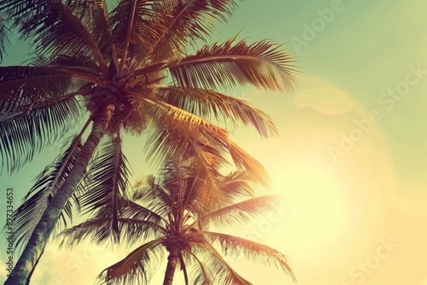 Fototapeta Oasis Palm Trees. Vintage Beach Background with Tropical Palm Trees and Shining Sun