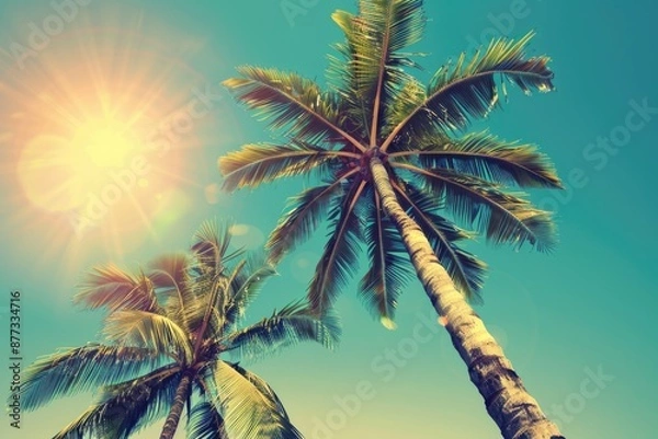 Fototapeta Oasis Palm Trees. Vintage Tropical Beach Background with Shining Sun and Coconut Trees