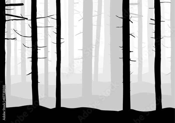 Obraz Загадочный лес