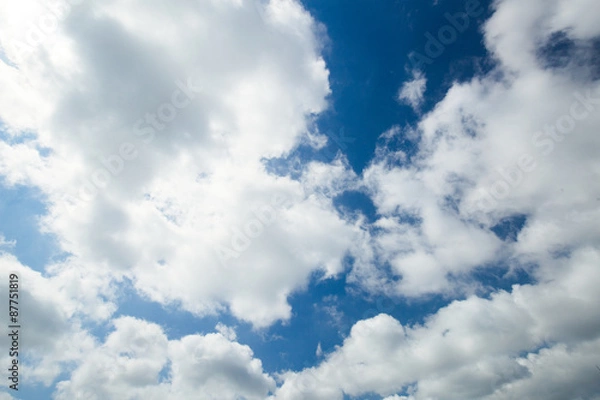 Fototapeta 初夏の青空と雲　