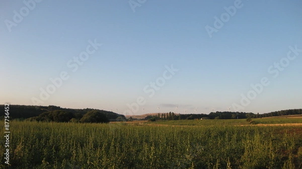 Fototapeta campos cultivados