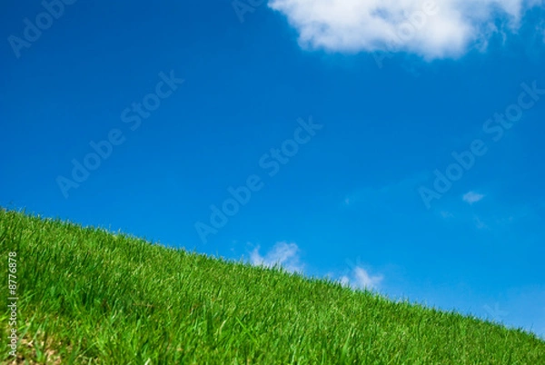 Obraz 澄んだ空と草原