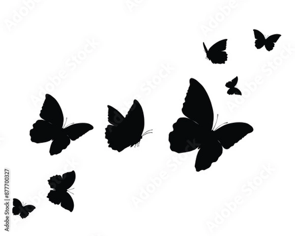 Obraz butterflies silhouettes set black vector	