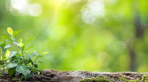 Fototapeta Rich fauna ecosystems showing adaptation to niches with available materials, Fauna  Niche  Materials, Natural Adaptation