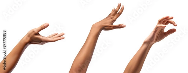 Fototapeta Set of Hands Isolated on a Transparent Background