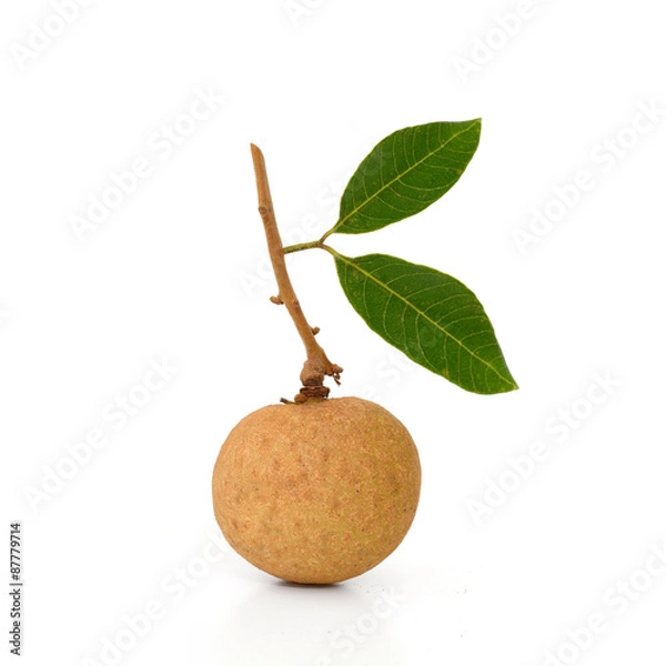 Obraz Fresh longan isolate on the background (Fruit)