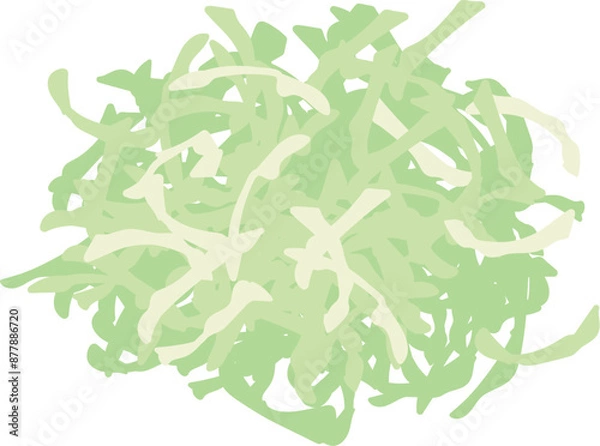 Obraz キャベツ　千切り