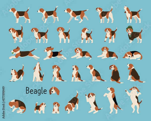 Obraz A collection of lively beagles. flat vector illustration.