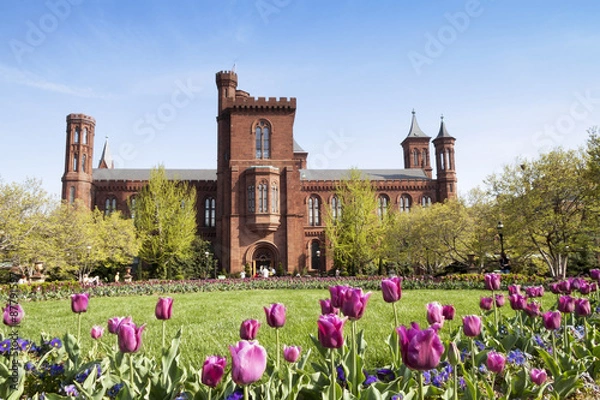 Fototapeta Smithsonian Building