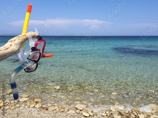 Fototapeta scuba diver