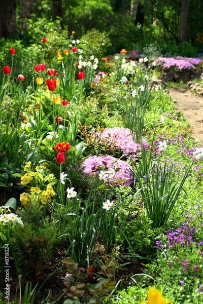 Obraz spring flowers in a garden.