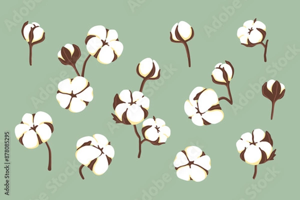 Obraz Vector set of illustrations of flowers and cotton branches isolated on green background