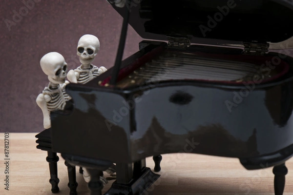 Obraz skeleton piano session