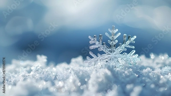 Fototapeta Close-up of a Snowflake on Snowy Background