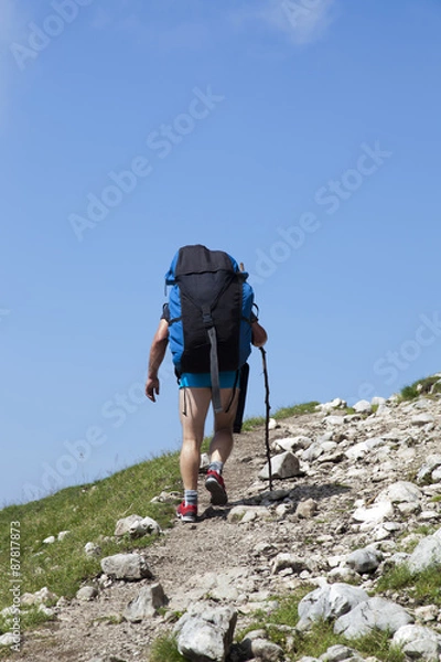Fototapeta Paraglider,  trekker, mountaineer, walking up hill to a paragliding starting point, on a sunny morning, high in the mountains, space for text