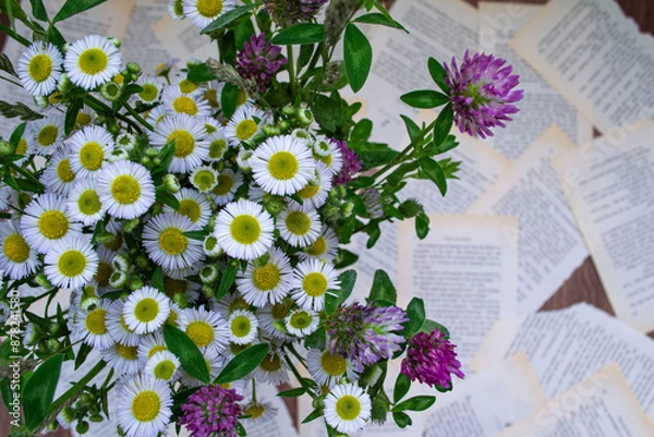 Obraz flowers on the wall