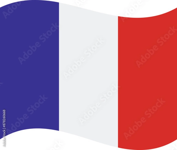 Obraz French Flag