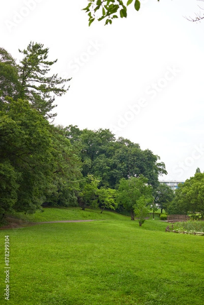 Fototapeta 公園の風景
