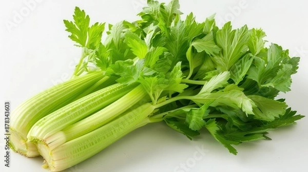 Fototapeta Fresh green celery vegetable isolated on white background.