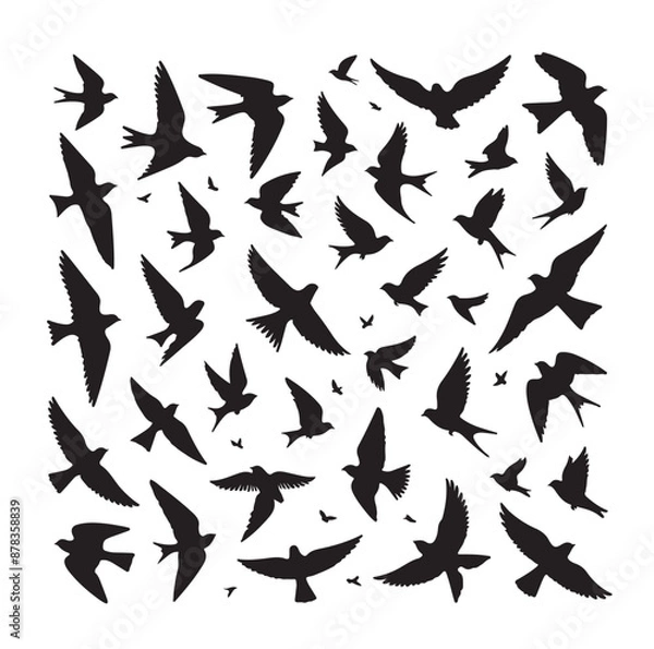 Obraz Flying birds silhouettes vector illustration