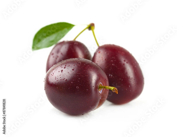 Obraz Plums with leaves.