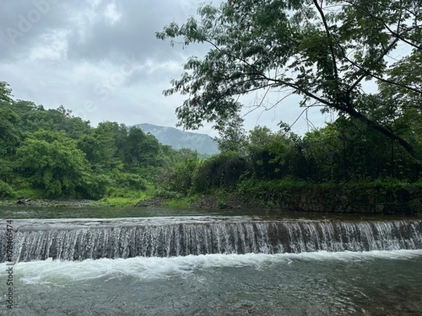 Fototapeta waterfall in the forest
