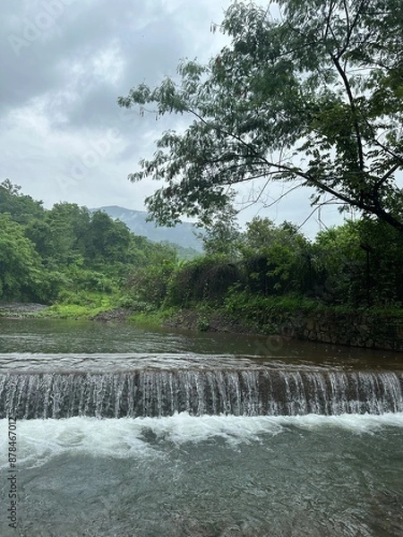 Fototapeta waterfall in the forest
