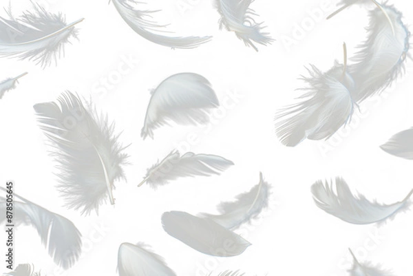 Fototapeta White feathers floating in the air, Realistic volumetric fluffy twirled feathers set, white feathers isolated on transparent background