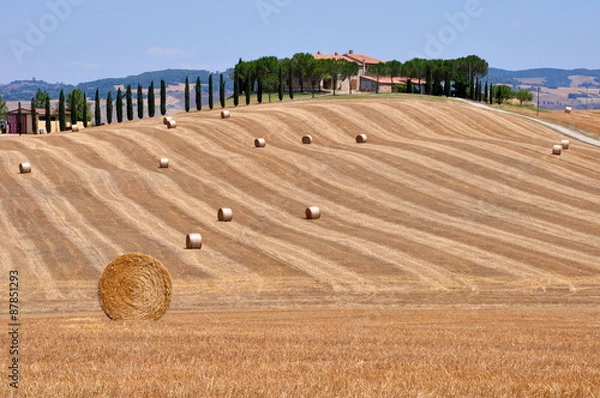 Fototapeta Bales and haystacks on the hills and fields in Tuscany, Italy. 
