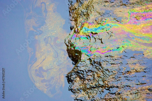 Obraz rainbow reflection of crude oil spill on the stone at the beach
