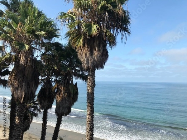 Fototapeta Pretty Palms