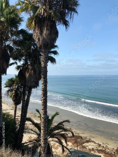 Fototapeta Palm Beach