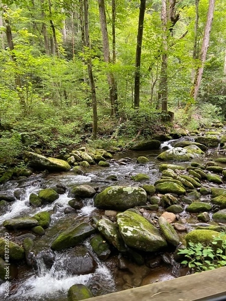 Fototapeta Mountain Stream