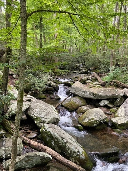 Fototapeta Forest River