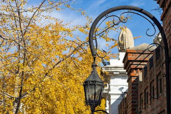 Obraz Hanging Light and Colorful Tree during Autumn in the Recoleta Neighborhood of Buenos Aires