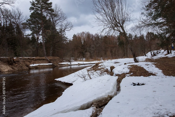Obraz The landscape of early spring, a lonely tree on the bank of a river that is just beginning to melt after winter