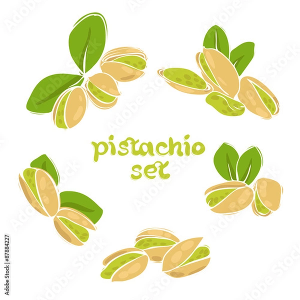 Obraz pistachio