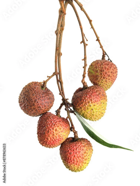 Obraz lychee isolated on white background