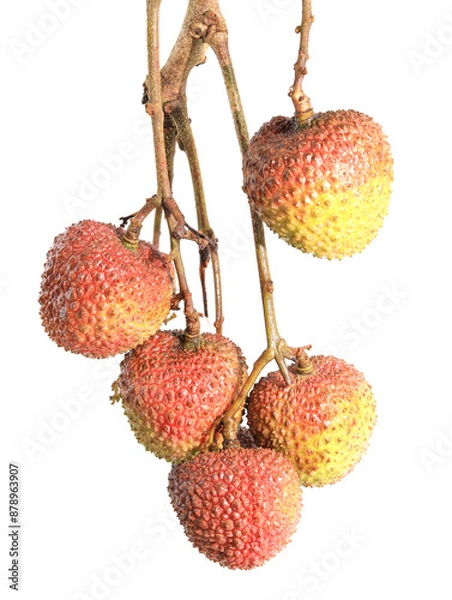 Obraz lychee isolated on white background