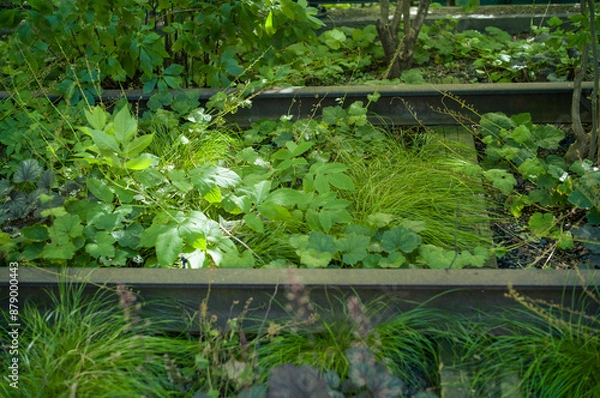 Obraz ハイラインの線路跡