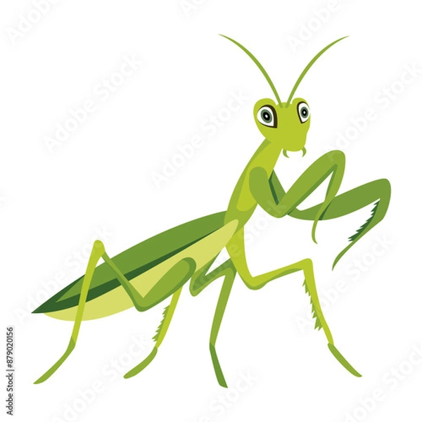 Fototapeta Cute hunter mantis icon in flat style 

