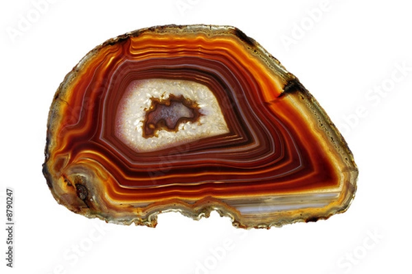 Obraz Banded Agate -- Scottish Pebble