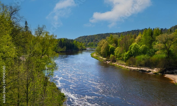 Fototapeta A river with a clear blue water and trees on both sides