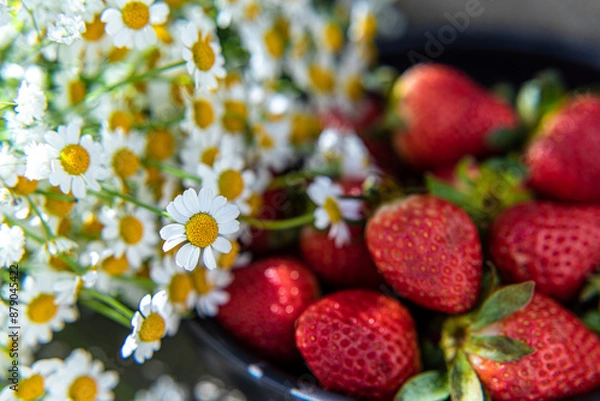 Obraz nature moments