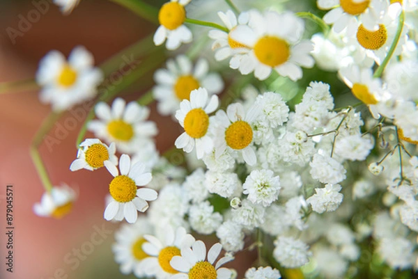 Obraz nature moments